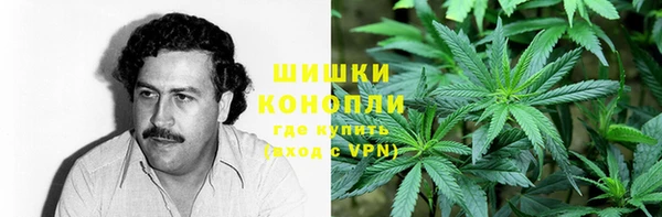 хмурый Инсар