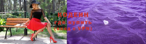 хмурый Инсар