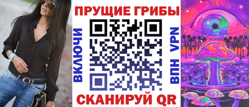 Купить где  Катайск  Галлюциногенные грибы GOLDEN TEACHER 